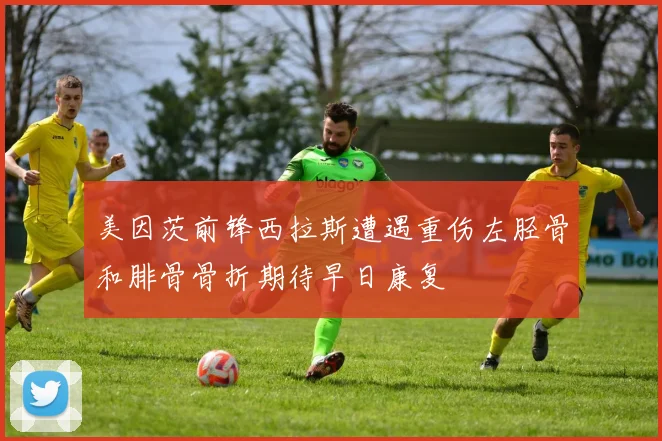 美因茨前锋西拉斯遭遇重伤左胫骨和腓骨骨折期待早日康复