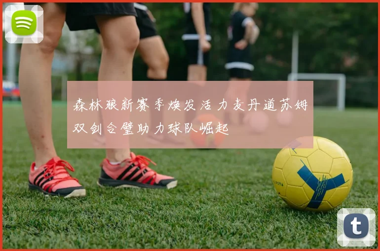 森林狼新赛季焕发活力麦丹道苏姆双剑合璧助力球队崛起